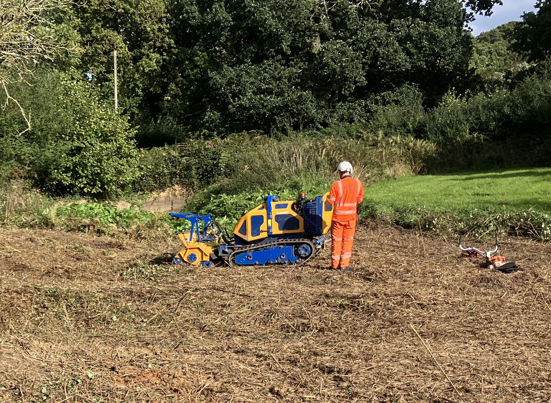 An operator in orange hi-vis using a compact tracked machine to clear vegetation in a grassy clearing fringed by trees.