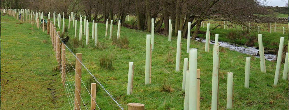 BNG habitat being managed to meet its target conditions.